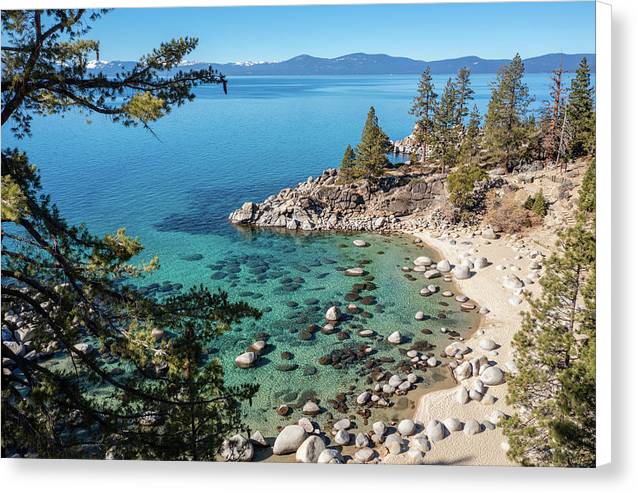 Secret Cove Sugarpine - Canvas Print