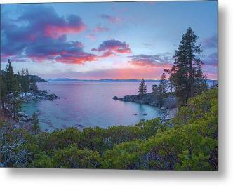 Secret Paradise by Brad Scott - Metal Print