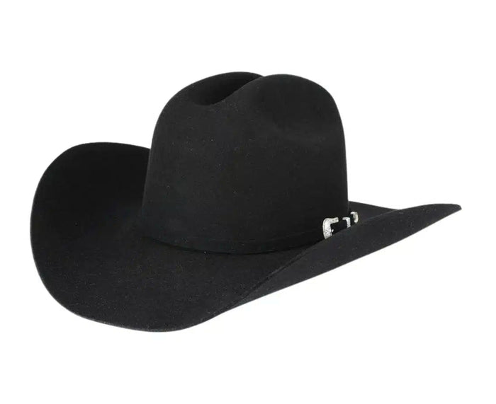 Stetson Oak Ridge Black 3X Oval Felt Cowboy Western Hat SWOAKR-7242