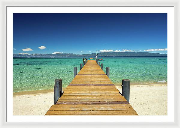 48" x 32" / White / White