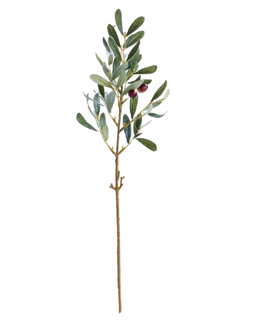19-1/2" Olive Stem with Olives