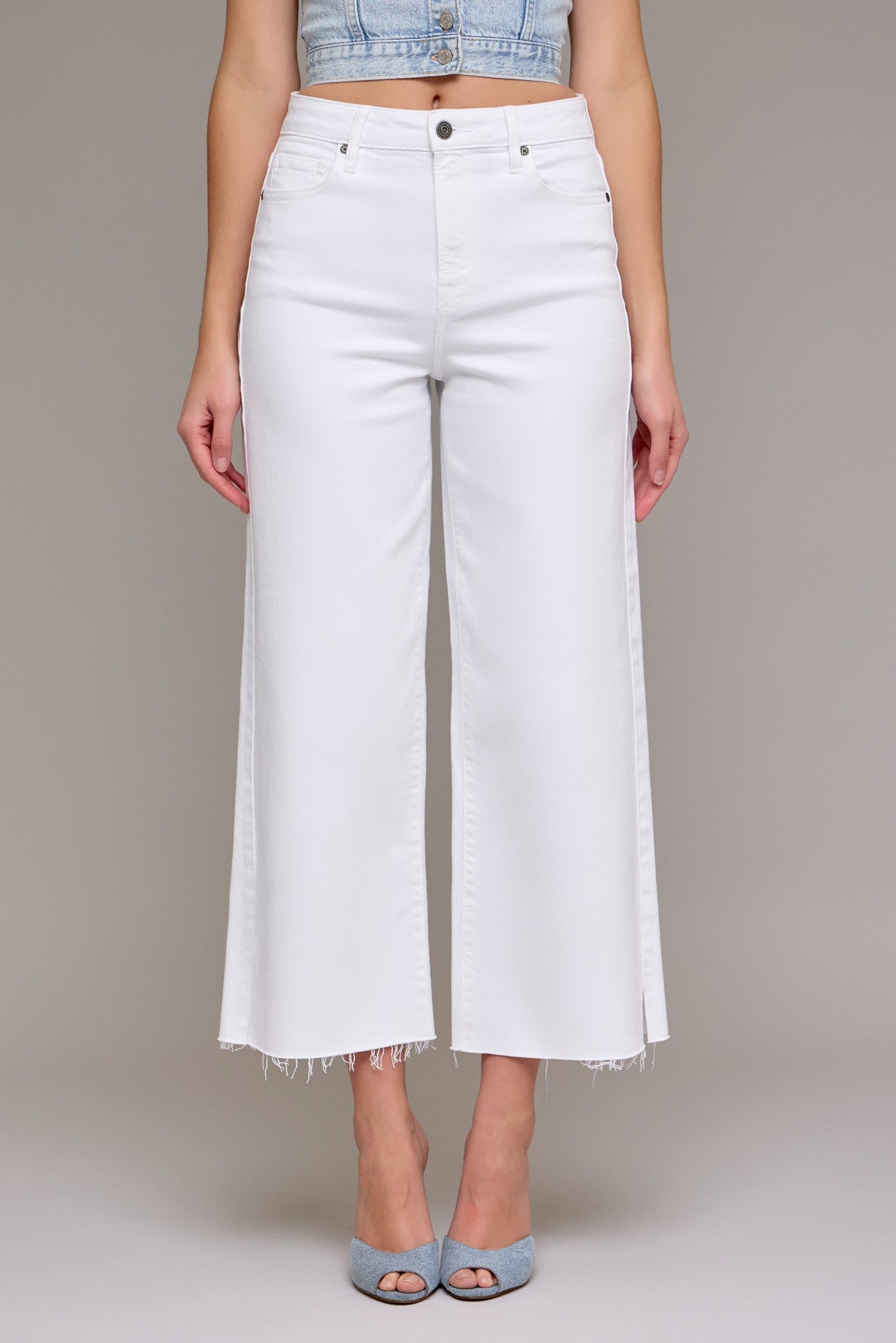 Hidden Nori Crop Wide Leg Jean