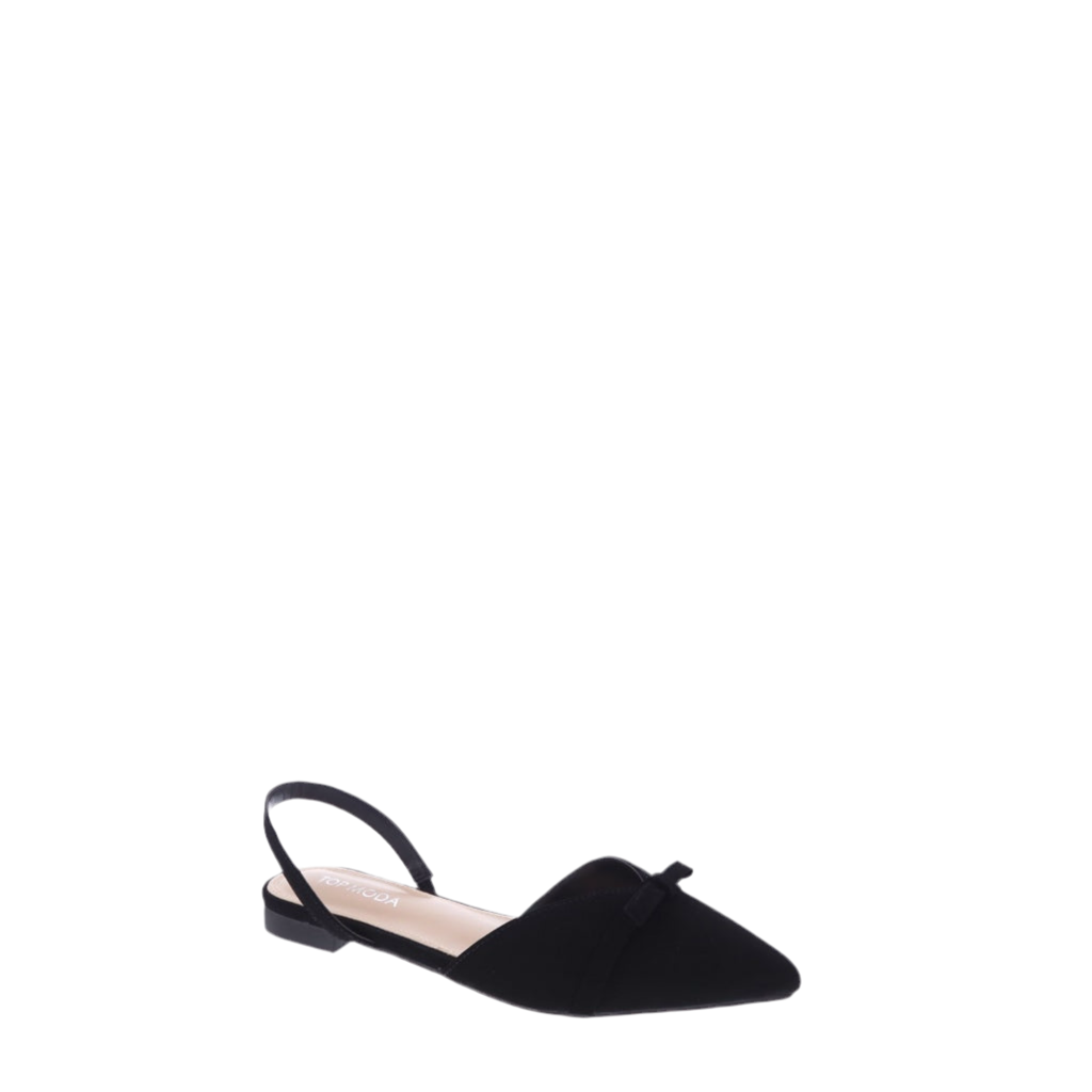 Flat Pointed Toe Shoe