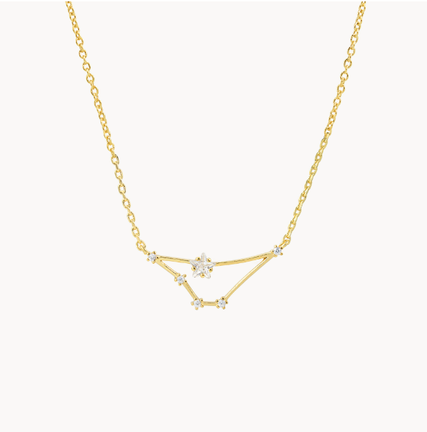 Secret Box Zodiac Necklace