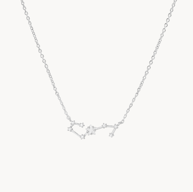 Secret Box Zodiac Necklace