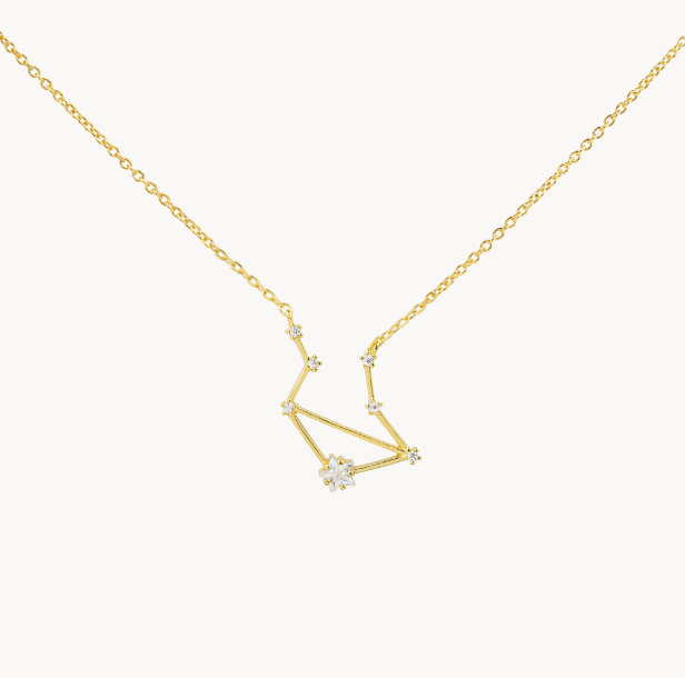 Secret Box Zodiac Necklace