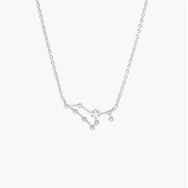 Secret Box Zodiac Necklace
