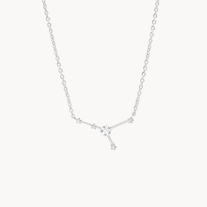 Secret Box Zodiac Necklace