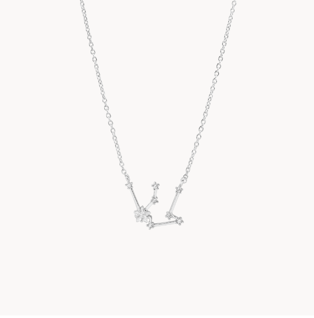 Secret Box Zodiac Necklace