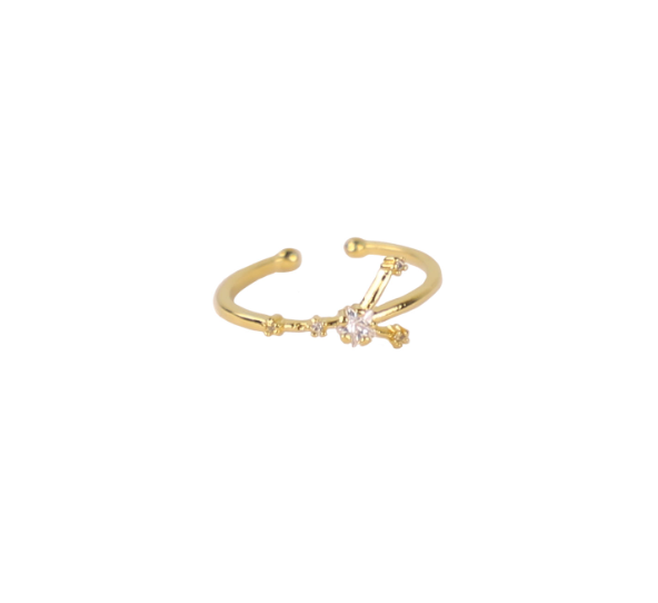 Secret Box Zodiac Ring