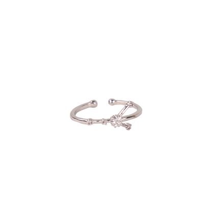 Secret Box Zodiac Ring