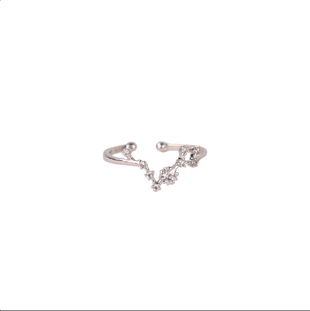 Secret Box Zodiac Ring