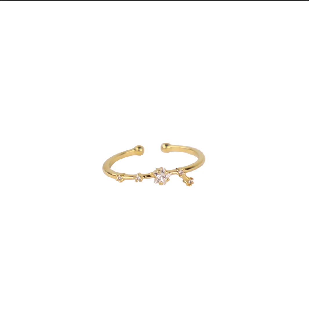 Secret Box Zodiac Ring