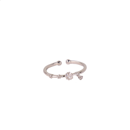 Secret Box Zodiac Ring