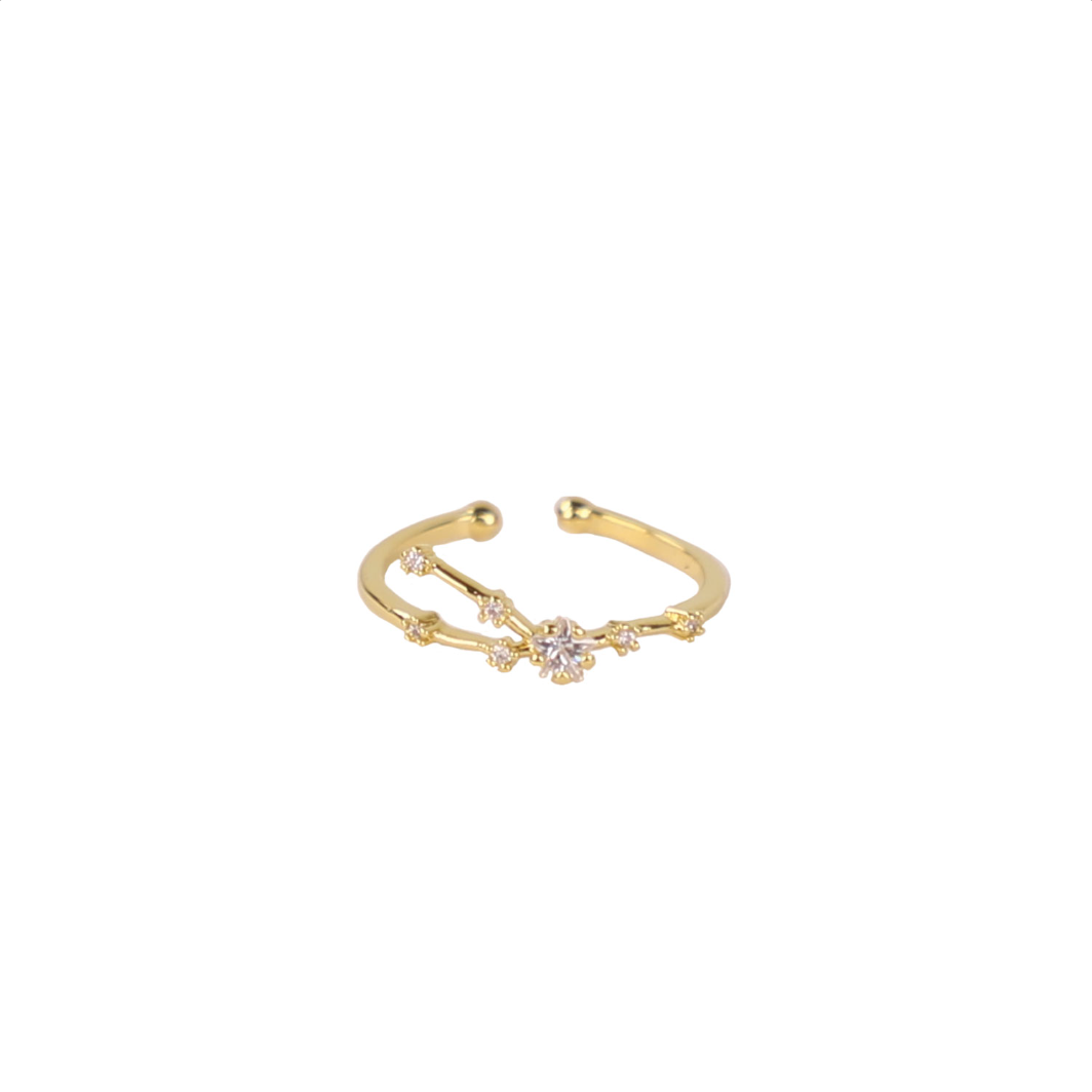 Secret Box Zodiac Ring