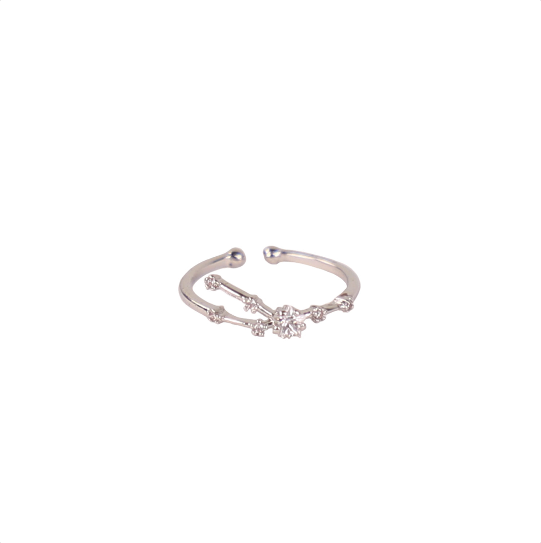 Secret Box Zodiac Ring