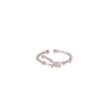 Secret Box Zodiac Ring