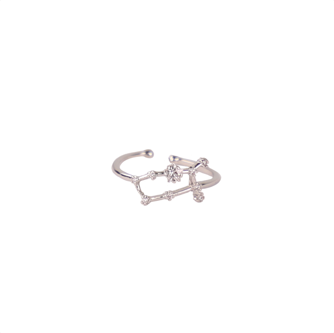 Secret Box Zodiac Ring