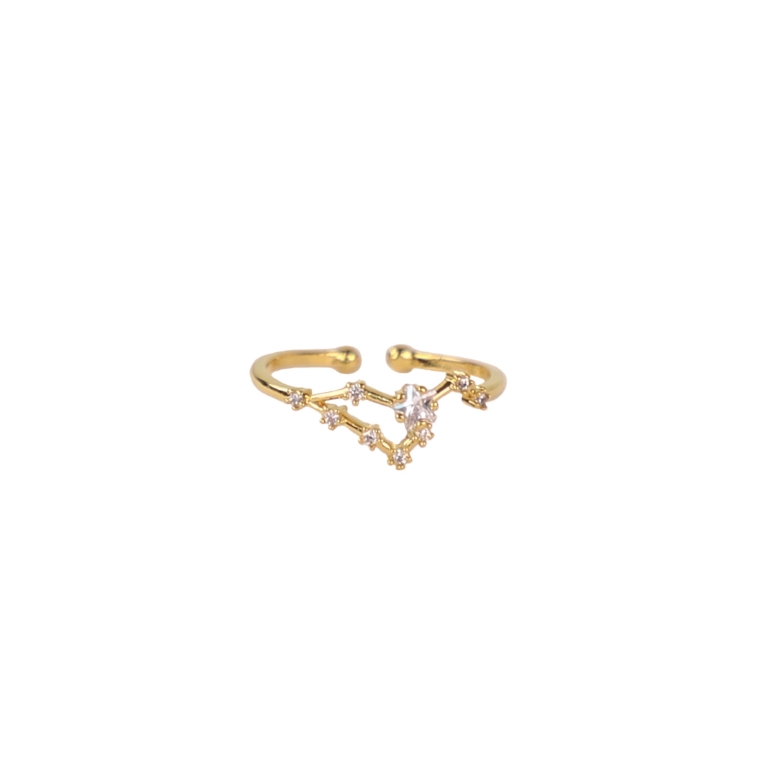 Secret Box Zodiac Ring