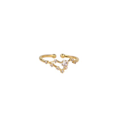 Secret Box Zodiac Ring