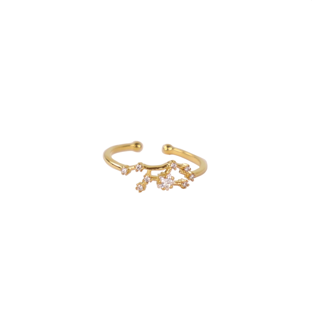 Secret Box Zodiac Ring