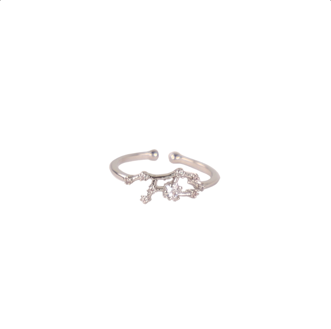 Secret Box Zodiac Ring