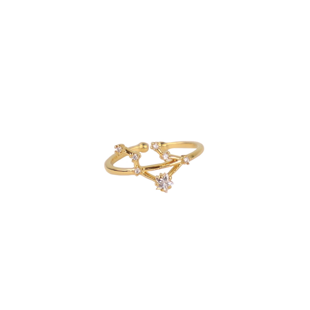 Secret Box Zodiac Ring