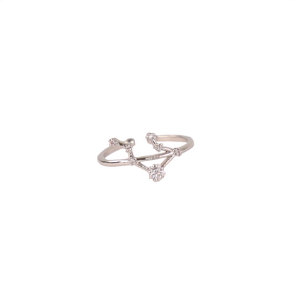 Secret Box Zodiac Ring