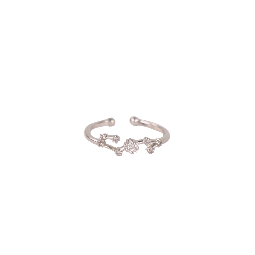 Secret Box Zodiac Ring
