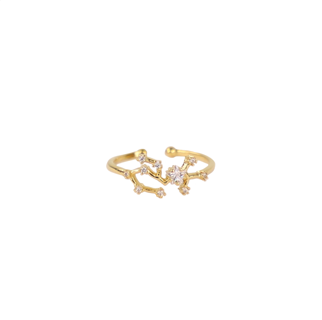Secret Box Zodiac Ring