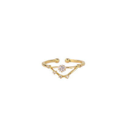 Secret Box Zodiac Ring