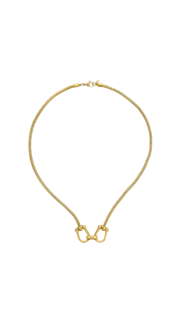 Double Horseshoe Chunky Chain Necklace
