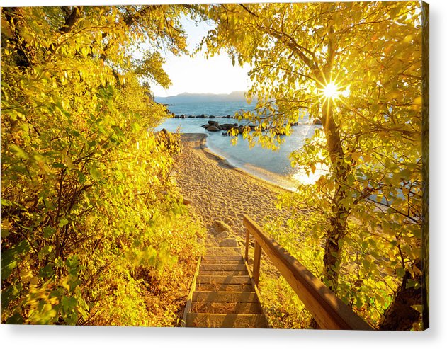 Autumn Steps - Lake Tahoe - Acrylic Print