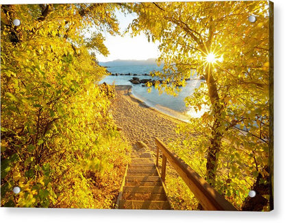 Autumn Steps - Lake Tahoe - Acrylic Print