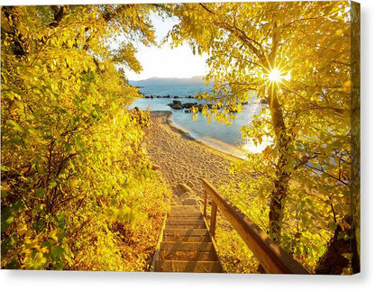 Autumn Steps - Lake Tahoe - Canvas Print