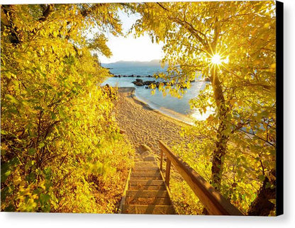 Autumn Steps - Lake Tahoe - Canvas Print