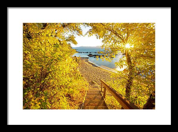 Autumn Steps - Lake Tahoe - Framed Print