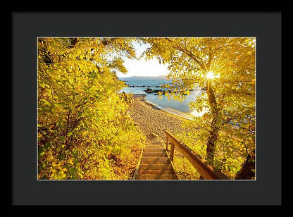 Autumn Steps - Lake Tahoe - Framed Print