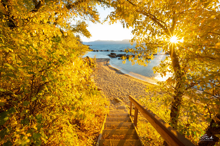 Autumn Steps - Lake Tahoe - Metal Print