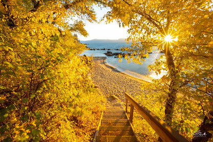 Autumn Steps - Lake Tahoe - Metal Print