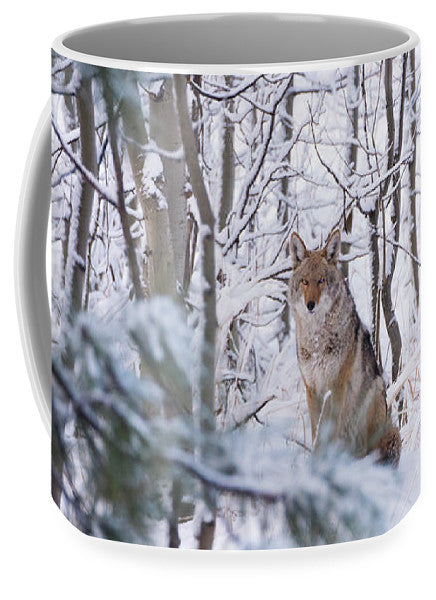 Coyote In The Aspens - Mug-Lake Tahoe Prints