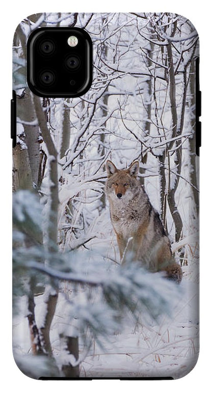 Coyote In The Aspens - Phone Case