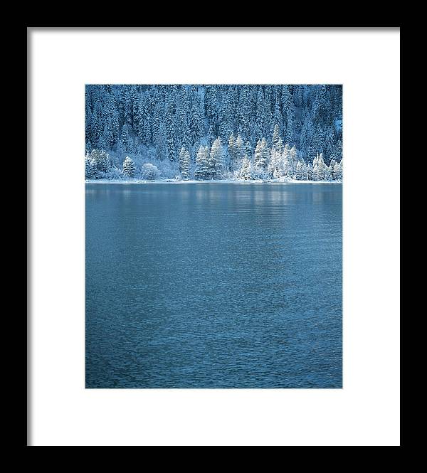 Emerald Bay Frozen Trees by Brad Scott - Framed Print