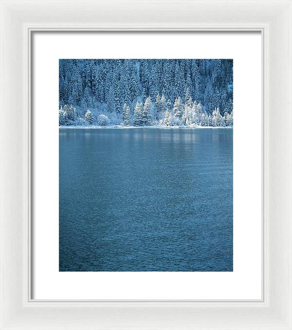 11.5" x 14" / White / White