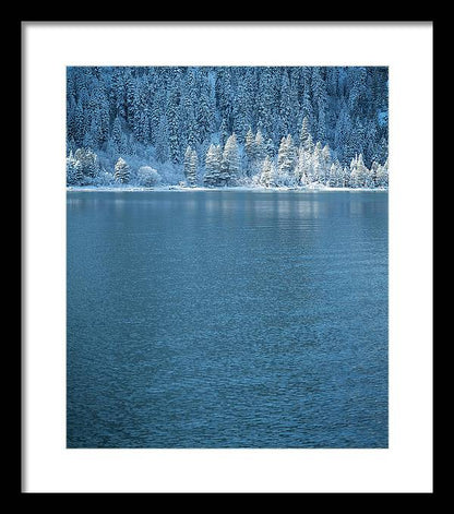 13.5" x 16" / Black / White