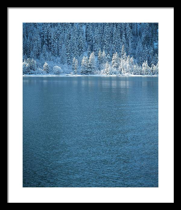 16.5" x 20" / Black / White