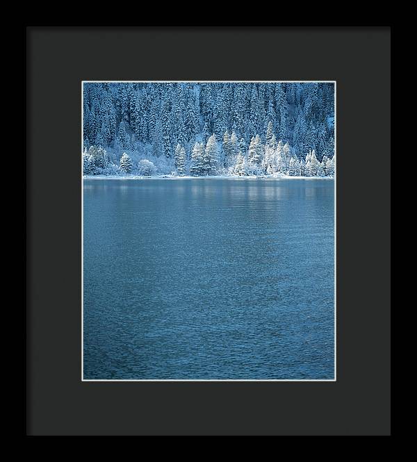 Emerald Bay Frozen Trees by Brad Scott - Framed Print
