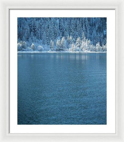 20" x 24" / White / White