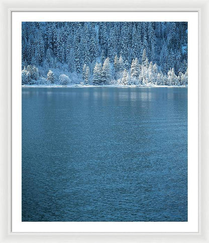 30" x 36" / White / White