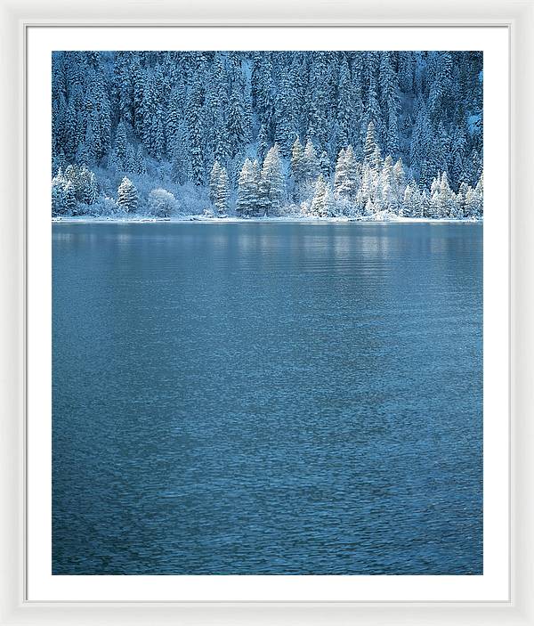 33" x 40" / White / White